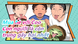 [Mùa hè với Coo] Con người là côn trung gây hại nhất cho Trái Đất