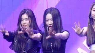 Thật tuyệt vời! Sự tiến hóa trong cú đánh thẳng của Miyawaki Sakura