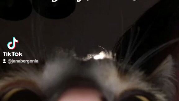 Flexing my Jowa prank🤝...