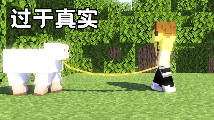 我的世界中过于真实的几个瞬间（十五）