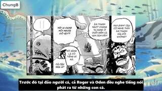Nhiệm Vụ Cuối Cùng Của Băng Hải Tặc Roger Là Gì_ I Giả Thuyết One Piece p3