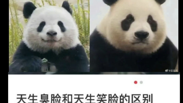 The Difference Between a Naturally Grumpy Face and a Naturally Smiling Face