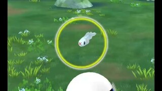 Pokémon GO-Shiny Tynamo