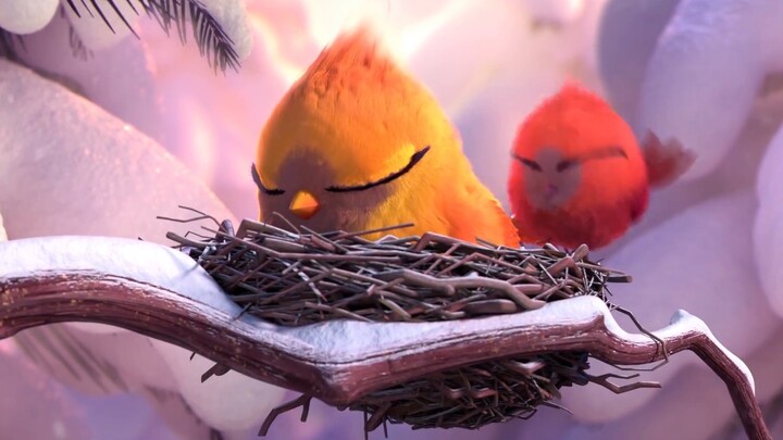【Pembalikan】 Burung merah kecil yang lucu dalam bahaya!