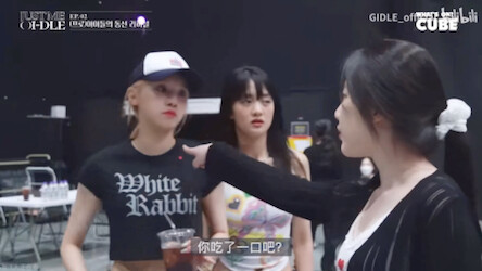 «ลูกสุนัขปักกิ่ง»