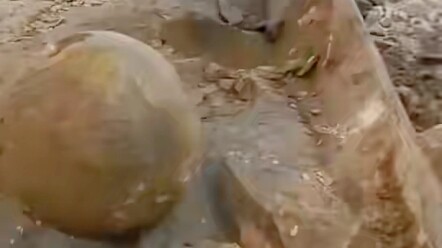 تحتوي بالفعل على بيضة بداخلها، هل تعرفون ما هذا؟