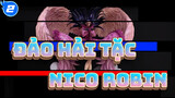 [Đảo hải tặc]Đập hộp Nico Robin TSUME HQS_2