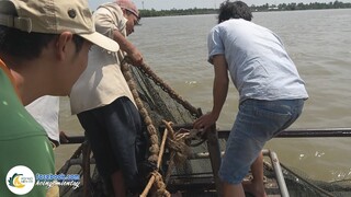 Ra Sông Mê Kông Cào Cá Bắt Tôm | Hội Ngộ Miền Tây - Tập 247