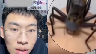〔它不咬我〕，把听泉给乐坏了。