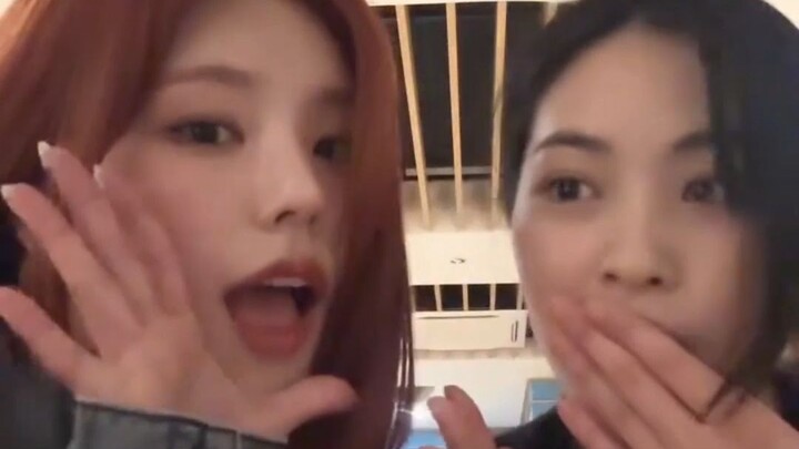 一年又一年 真挚抖抖合集2.0