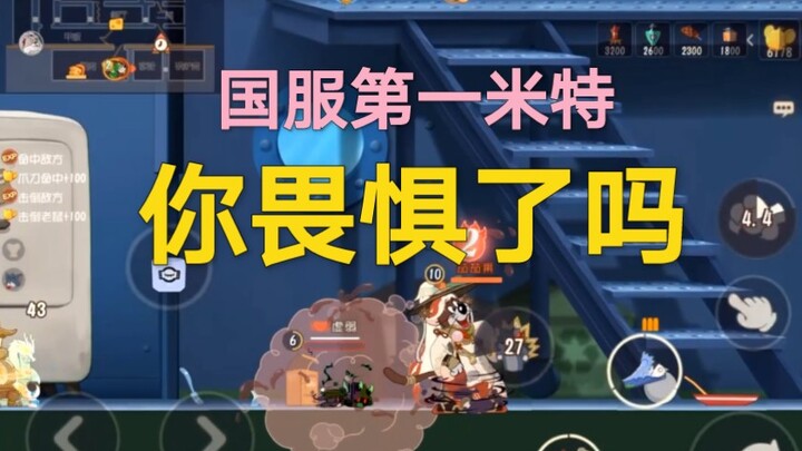 Tom and Jerry Mobile Game: This is the No. 1 player in China! If you can't even protect a mouse, how