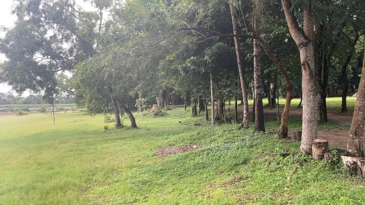 ธรรมชาติ