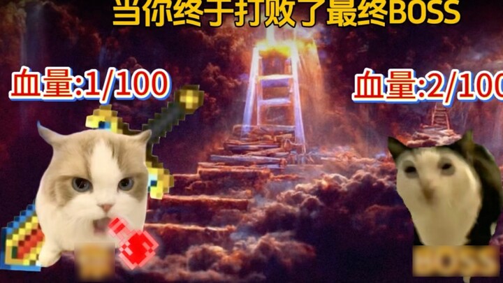 เมื่อคุณเอาชนะบอสตัวสุดท้ายได้และเสียงเพลงประกอบก็ไม่หยุด