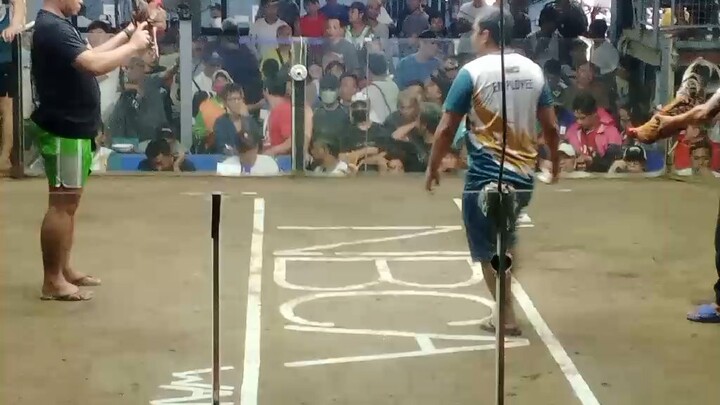 champion bulik