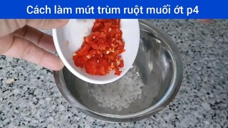 Làm mứt trùm ruột muối ớt p4