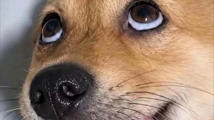 hello
