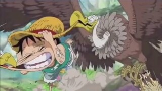 Luffy làm thân vs ACE