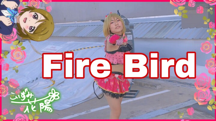 [LoveLive!!] Fire Bird - Hanayo cover dance เต้นๆไปก็สนุกดีนะ~!