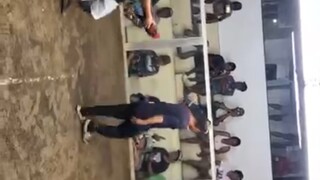 Super Pumkin ni tatay simo 🐓