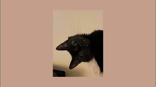 ✶ Indie playlist that will instantly brighten up your mood ✶