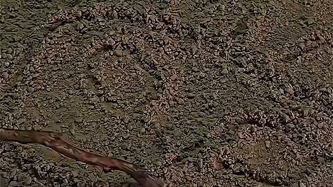 black magic dragon 🐉 new movie clips part 1