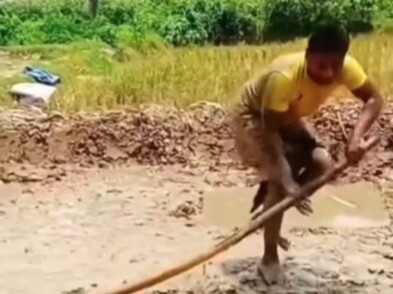 Whack-a-Mole (Landlord Has a Secret Weapon)