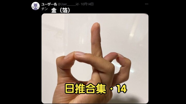 Jinguo Rematch OP #Daily Twitter Electronic Pickle Compilation · 14