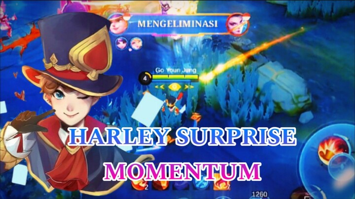 HARLEY SURPRISE MOMENTUM