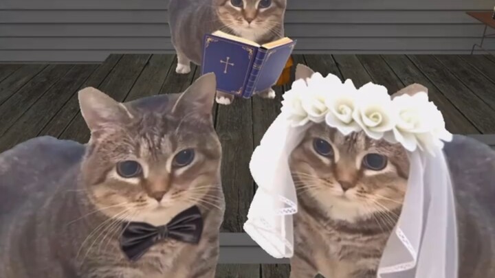 Today I’m Marrying O!