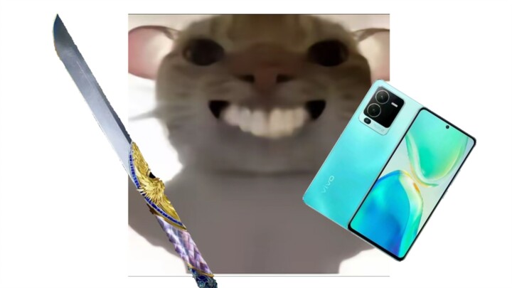 The icy Hav Bucks have turned into Darkstar and Zhoubao’s new phones 😋