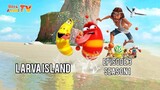 *Larva Island Episode 2 English Dubbed* "Larva Island"┃┃HD Full Episode