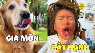 Đại Trang | Mama Số Nhọ, Suốt Ngày Bị ĐẠI TRANG Hành Hạ 🤣 Gâu Đần Official