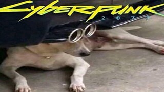 มีมที่มากับ CYBERPUNK
