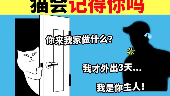 Do cats remember you? How long do cats’ memories of their owners last?