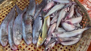 Cơm Chiều trên Ghe • Canh chua cá khoai, cá lưỡi trâu kho hành | Ngư Dân Miền Tây