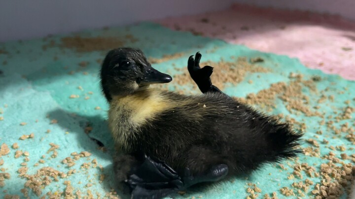 Semangat, teman! Kamu pasti bisa bangkit sendiri!