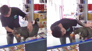 ذهب رجل إلى متجر ليتسوق، فجذبته قطة صاحب المتجر. قالت القطة: أليس لي كرامة؟