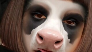 cow rapping 😲