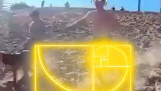 perfect golden turn