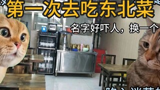 【Cat Meme】First Time Trying Northeastern Chinese Cuisine