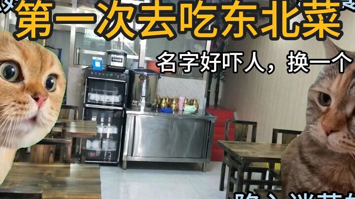 【ميم القط】 الزيارة الأولى لتناول الطعام الشمالي الشرقي