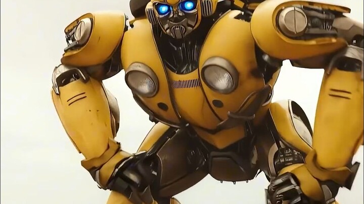 Bumblebee is so cute~