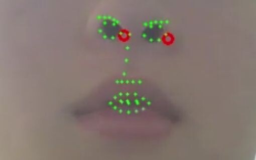 [Funny] Live2D Face Detection Gone Wrong