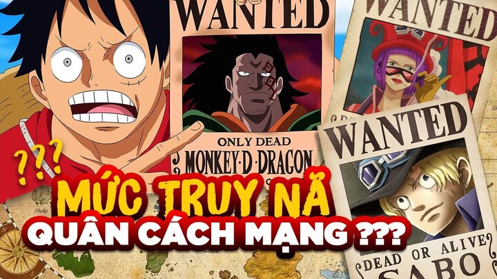 Lý Giải Tiền Truy Nã Quân Cách Mạng Tại Sao Lại Thấp Như Thế ??? Lý Do Là Gì ??? One Piece 1024