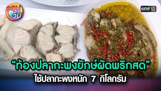 “ท้องปลากะพงยักษ์ผัดพริกสด” ใช้ปลาหนัก 7 กิโลกรัม | Highlight Ep.258 | รอบวัน | 10 ก.ค. 67 | one 31