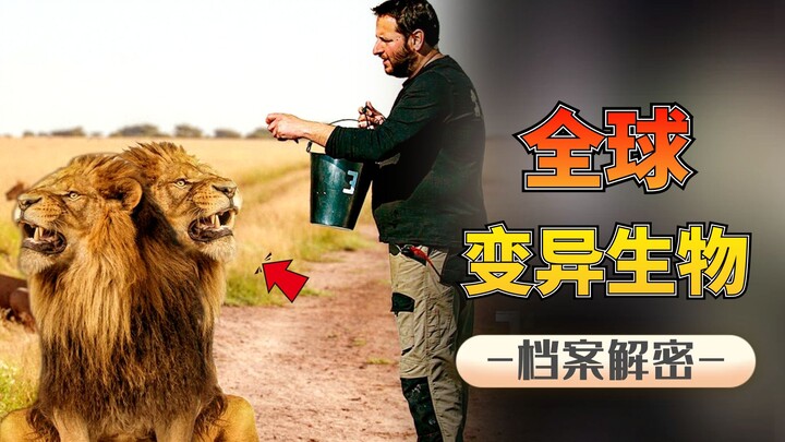 สิ่งมีชีวิตกลายพันธุ์ทั่วโลก: สัตว์ประหลาดสองหัวมีหกขา แต่นี่ยังไม่ใช่สิ่งที่น่ากลัวที่สุด!