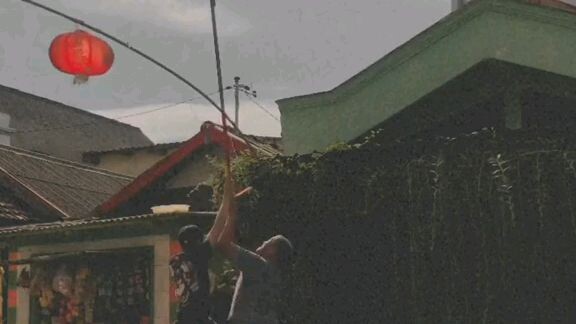 Jolly Roger one piece