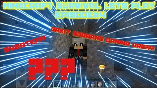 MINECRAFT LETS PLAY | SURVIVAL SERIES | EPISODE 4