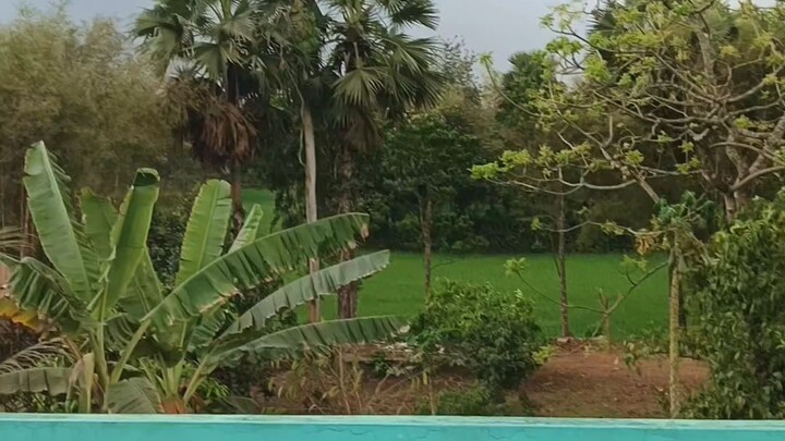সৌন্দর্যের গ্রাম গাজীপুর ঢাকা বাংলাদেশ