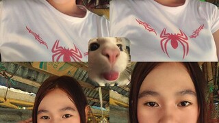 Hi 🥺